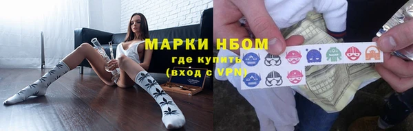 индика Новозыбков