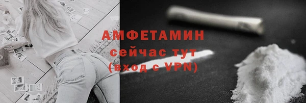 сатива Коряжма