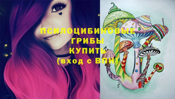 mdpv Няндома