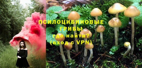 гидра Нязепетровск