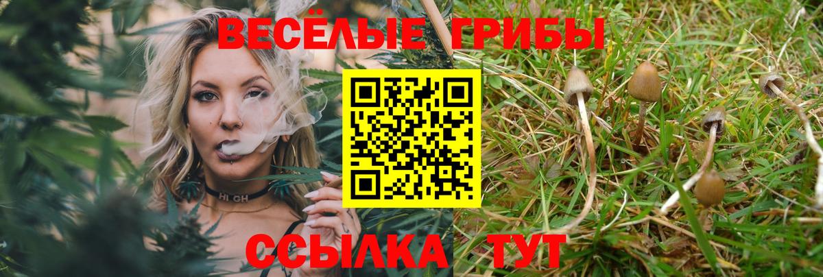 Лесозаводск  Галлюциногенные грибы мухоморы  Вход с VPN 
